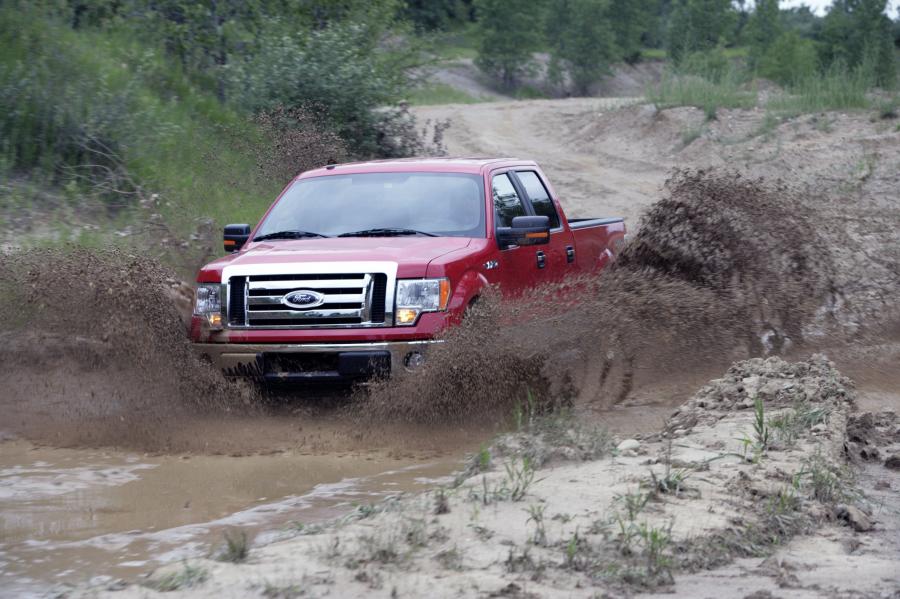  Ford F-150 SuperCrew Cab 2009 года  (фото 15 из 34)